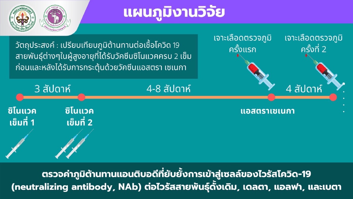 ซิโนแวค 2 เข็ม ในผู้สูงอายุ ไม่เพียงพอในการยับยั้งเชื้อโควิด