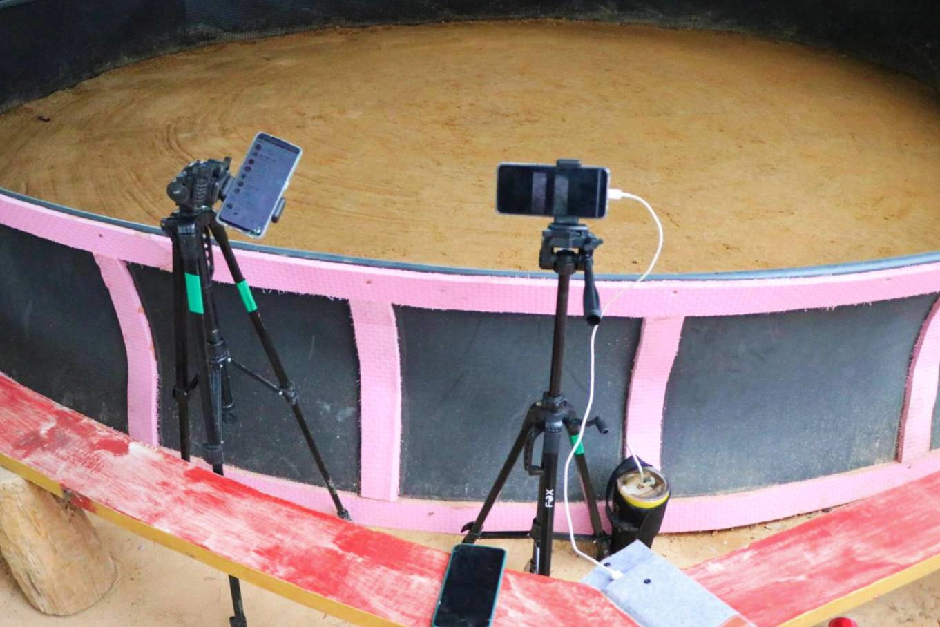 บุกบ่อนไก่ชนพบนักพนันนับร้อยไม่สนโควิด ถ่ายคลิปลงแอพติ๊กต๊อกเรียกยอดวิว