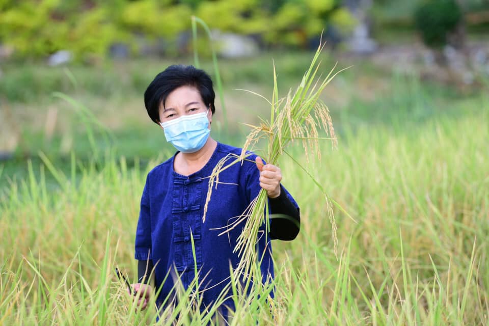ศูนย์การเรียนรู้เกษตรอินทรีย์โคกหนองนา คืบหน้าแล้ว90%
