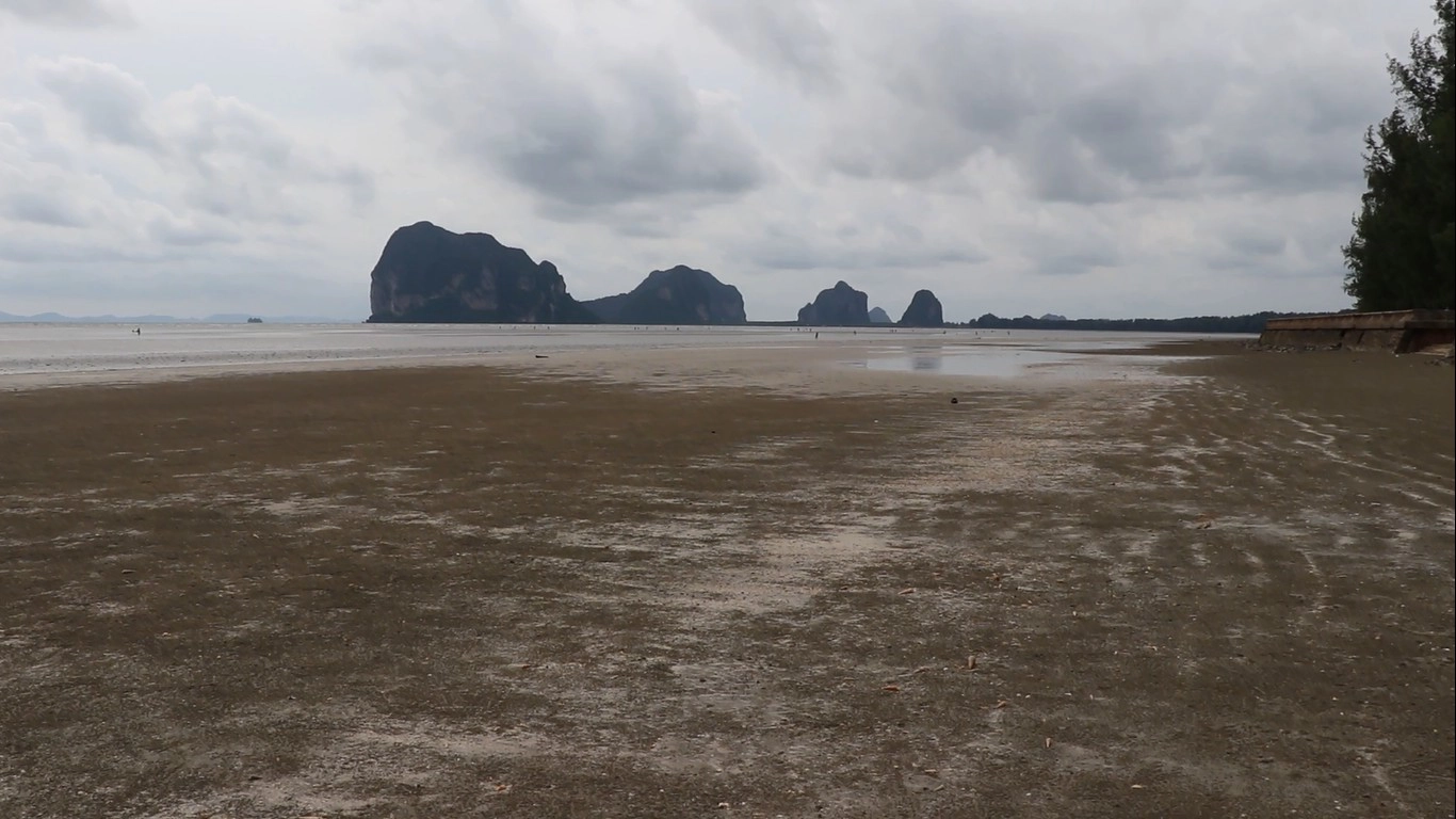 ชาวบ้านแห่เก็บหอยตะเภาขายหารายได้เสริม