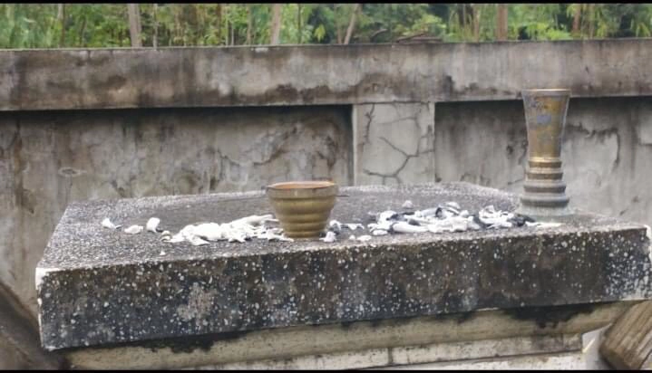 ขโมยเงินในโกศเก็บกระดูก สุดท้ายต้องเอามาคืน หลังฝันผีทวงเงิน