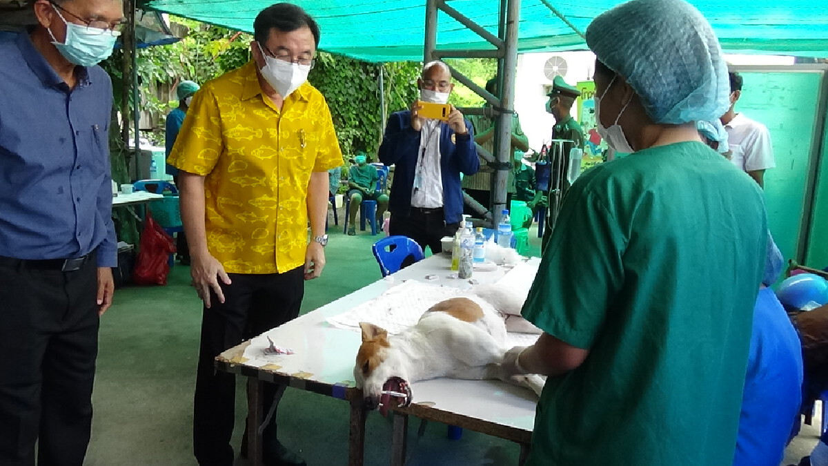 โครงการวันป้องกันโรคพิษสุนัขบ้าโลก สัตว์ปลอดโรคคนปลอดภัย