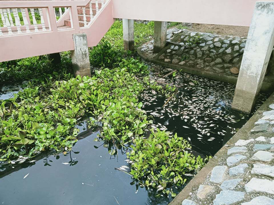 ลำน้ำแม่ลายังไม่พ้นวิกฤติน้ำเสีย ท้องถิ่นจังหวัดเร่งหาสาเหตุ