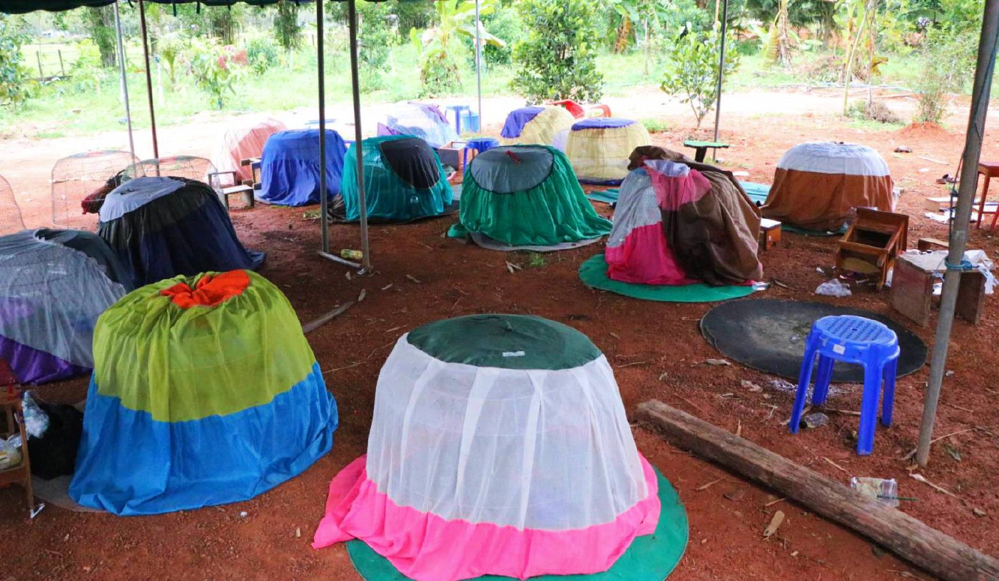 บุกบ่อนไก่ชนพบนักพนันนับร้อยไม่สนโควิด ถ่ายคลิปลงแอพติ๊กต๊อกเรียกยอดวิว