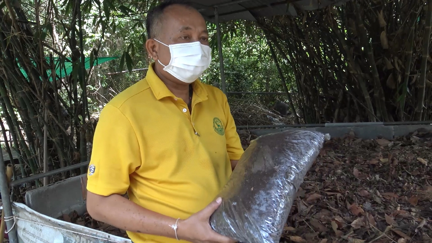 “สวนสัตว์สงขลา”เพาะต้นกล้าฟ้าทะลายโจรขาย