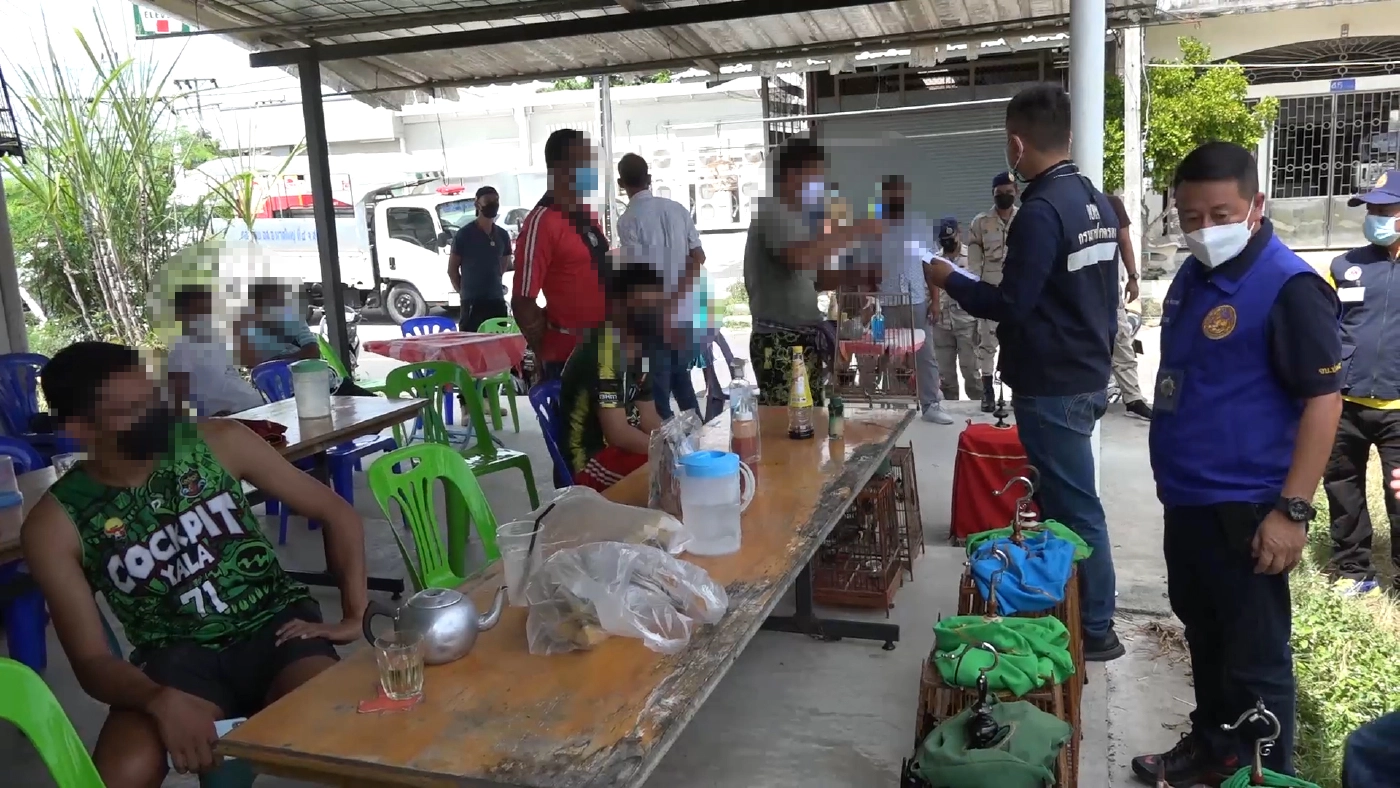 ตำรวจหาดใหญ่ - ฝ่ายปกครอง จับเซียนนกกรงคาสนามแข่ง