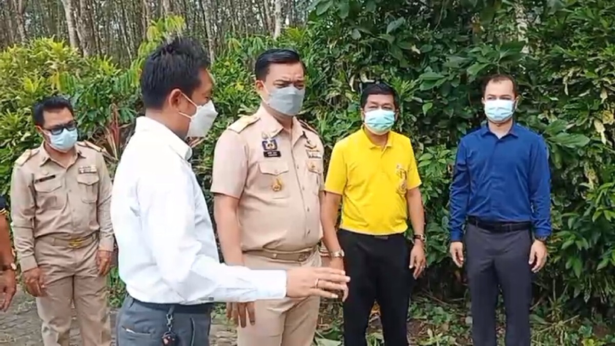 อนุมัติงบซ่อมแล้ว! อาคารเรียนถูกต้นไทรทับพัง หลังไร้หน่วยงานรัฐเหลียวแล