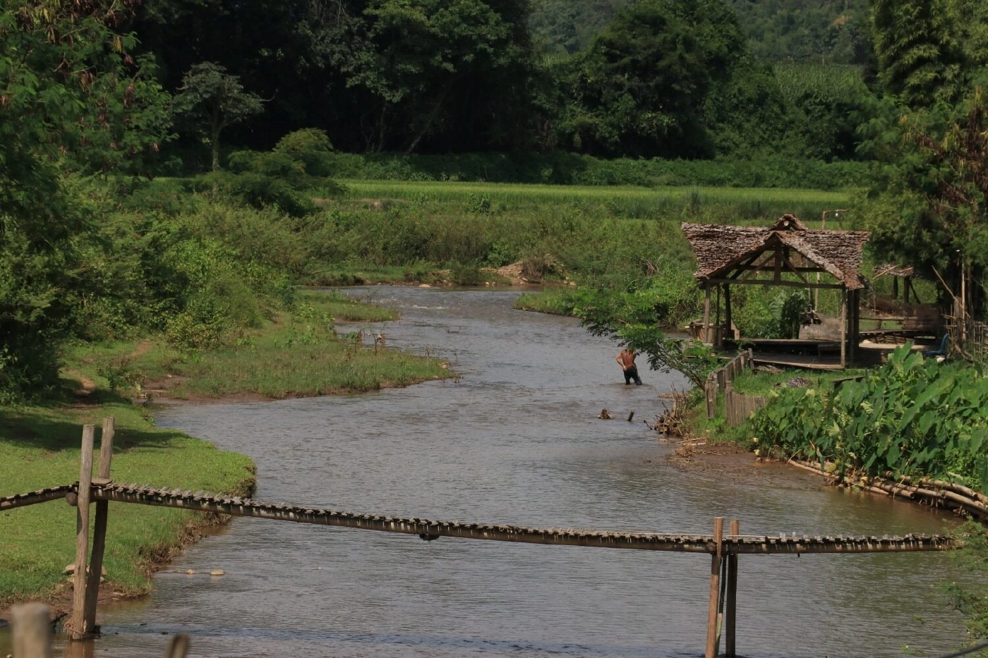 ยูเนสโกประกาศให้ “ดอยเชียงดาว” เป็นพื้นที่สงวนชีวมณฑลแห่งใหม่ของโลก