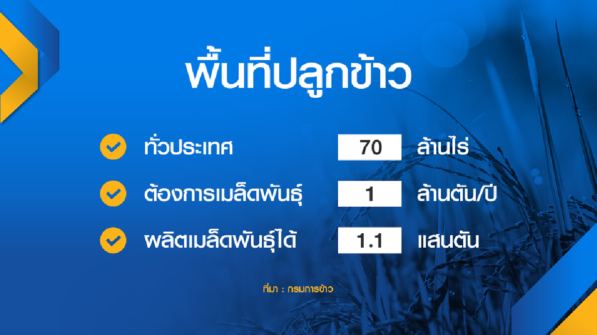 โรงสี ‘เพิ่ม‘ ค่าข้าว หนุนชาวนาใช้เมล็ดพันธุ์เกรดเอ
