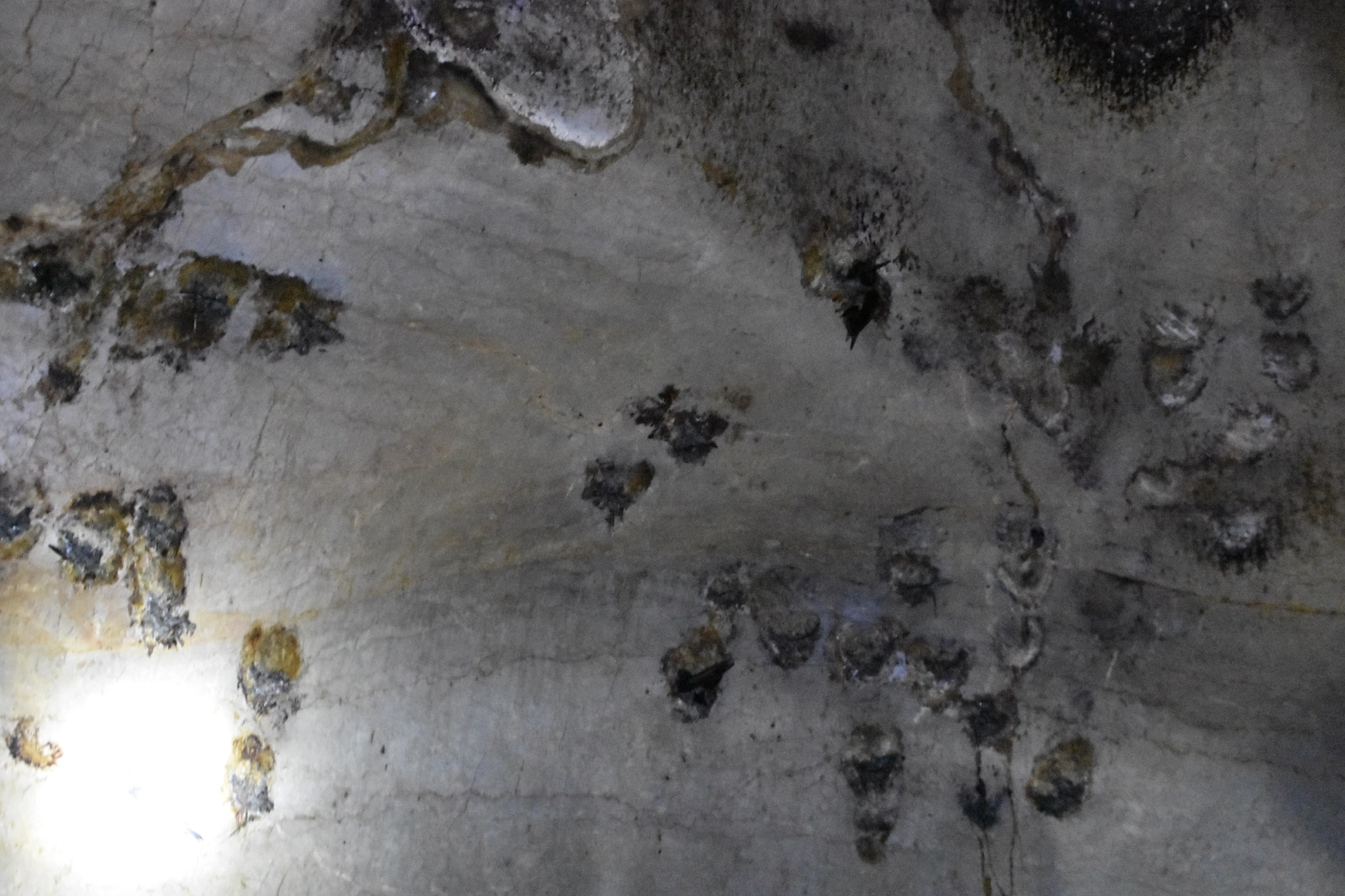 แทบช๊อก!! สำรวจเกาะรังนกถูกขโมยเกลี้ยงก่อนส่งมอบพื้นที่