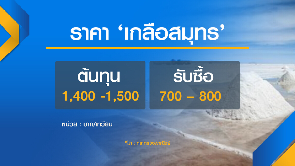 ชาวนาจี้รัฐประกันราคา เกลือสมุทร 1500 บ./เกวียน