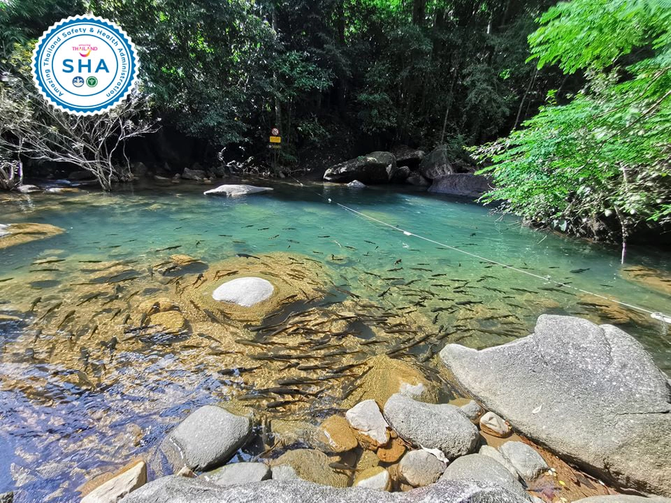 ปิดท่องเที่ยว "น้ำตกพลิ้ว" พบ จนท.ติดเชื้อโควิด-19