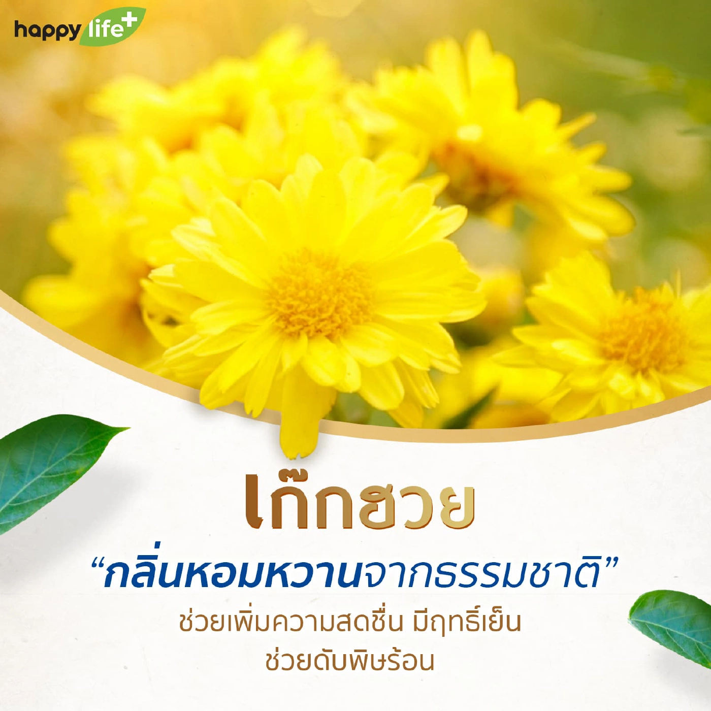 7 สมุนไพรไทย ที่ช่วยลดน้ำตาลในเลือด