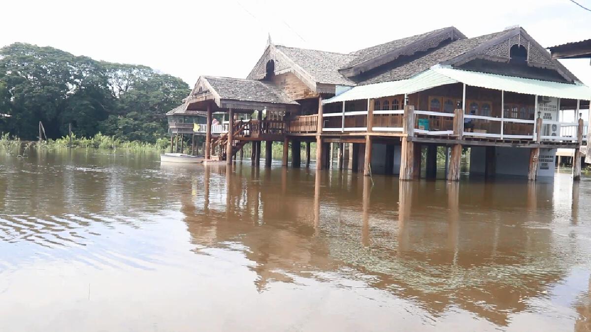 "แม่น้ำยม"รับน้ำจากสุโขทัยล้นตลิ่ง-เร่งขนย้ายสัตว์เลี้ยง