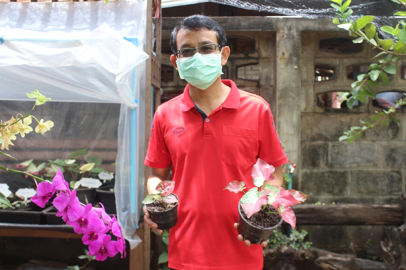 คุณครูคนขยันใช้เวลาว่างหลังสอนออนไลน์ปลูกบอนสีขาย