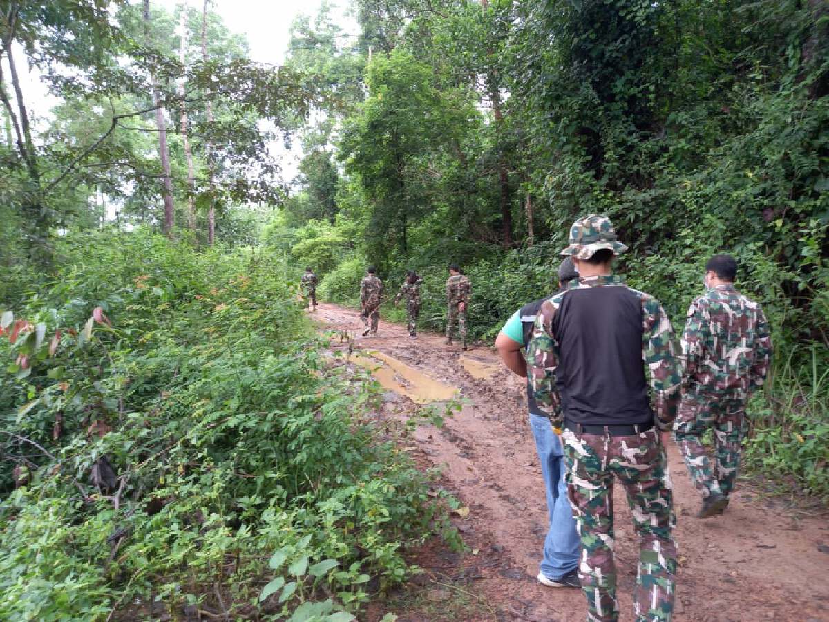 เตือนระวังเสือ หลังพบรอยเท้าอยู่ใกล้กับชุมชนเพียง 30 เมตร