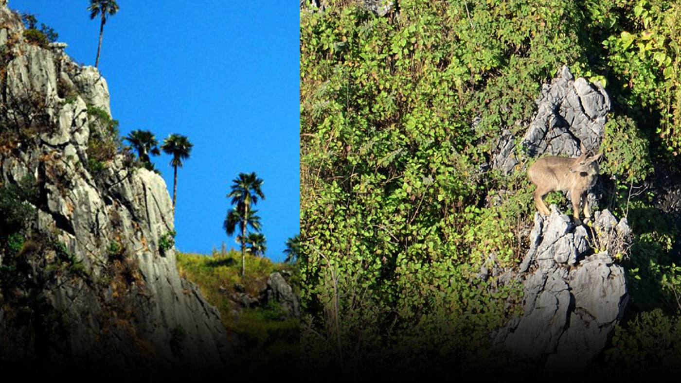 ลุ้นข่าวดี! "ดอยเชียงดาว" จ่อขึ้นทะเบียนเป็นพื้นที่ชีวมณฑลโลก