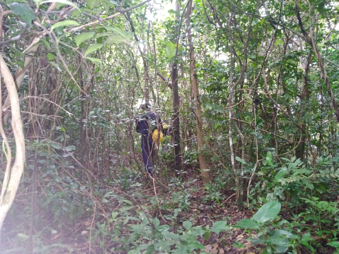 ระดมกำลังค้นหา ผจก.โรงแรมดัง ทั่วเกาะพีพี ยังไร้วี่แวว