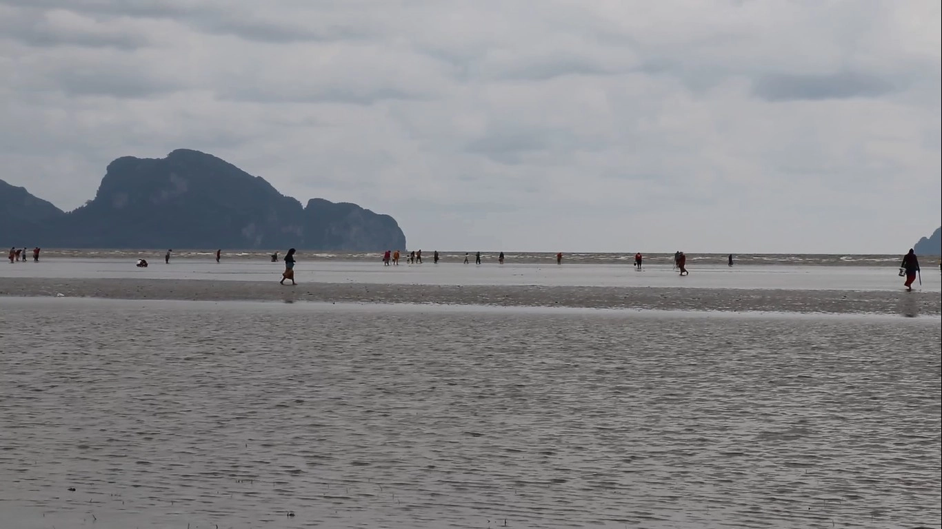 ชาวบ้านแห่เก็บหอยตะเภาขายหารายได้เสริม