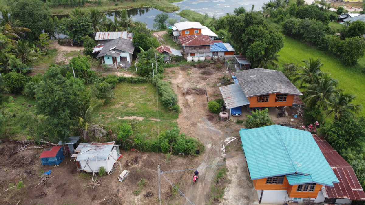 ปลูกข้าวประชดถนนโคลน เละแบบนี้มา60ปีไม่มีเปลี่ยนแปลง