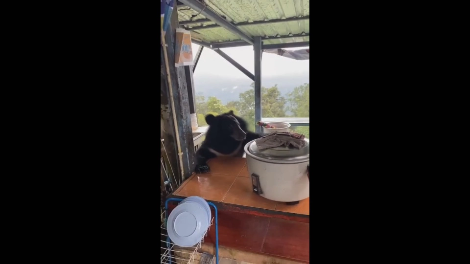 หน.อุทยานเขาใหญ่ ชี้  นทท.แห่เที่ยวมากผิดปกติ เข้มคัดกรองโควิด