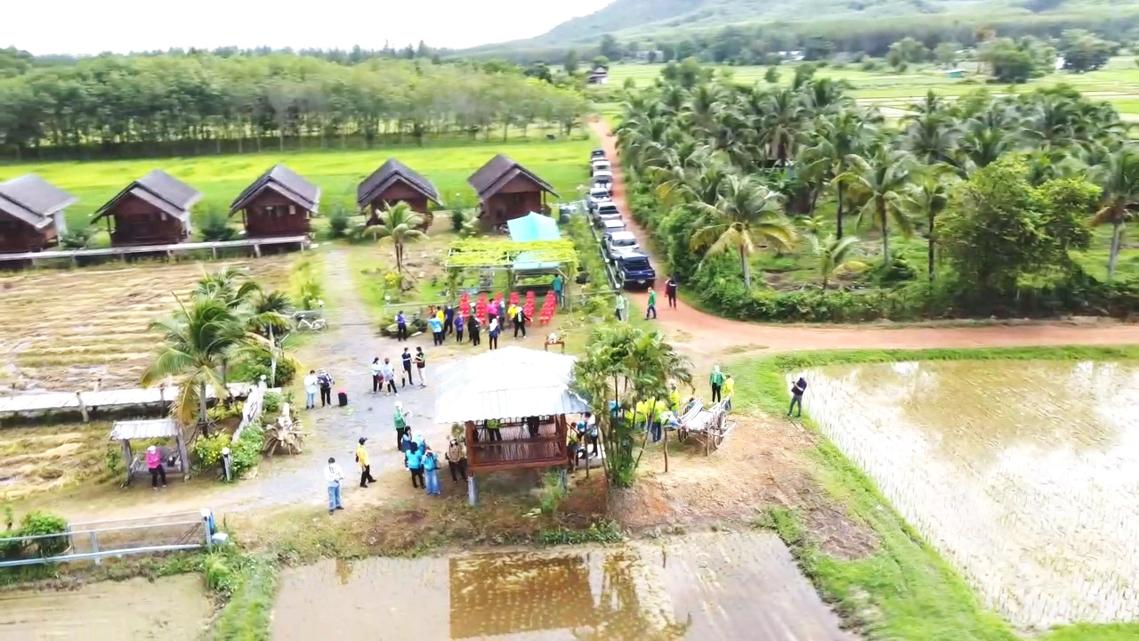 เปิดจุดชมนก นาแปลงใหญ่พังงารับท่องเที่ยวนำร่องแซนด์บ็อกซ์ 7+7