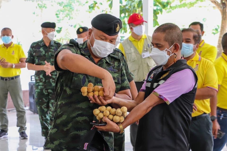 ผลผลิตลองกองนราธิวาสปีนี้ ปริมาณ-คุณภาพลดลง