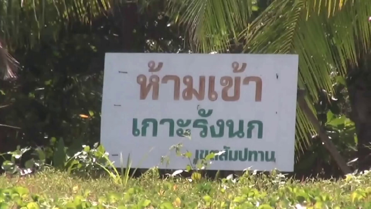ผู้สัมปทานรังนกพัทลุง ปฏิเสธจัดฉากการขโมย