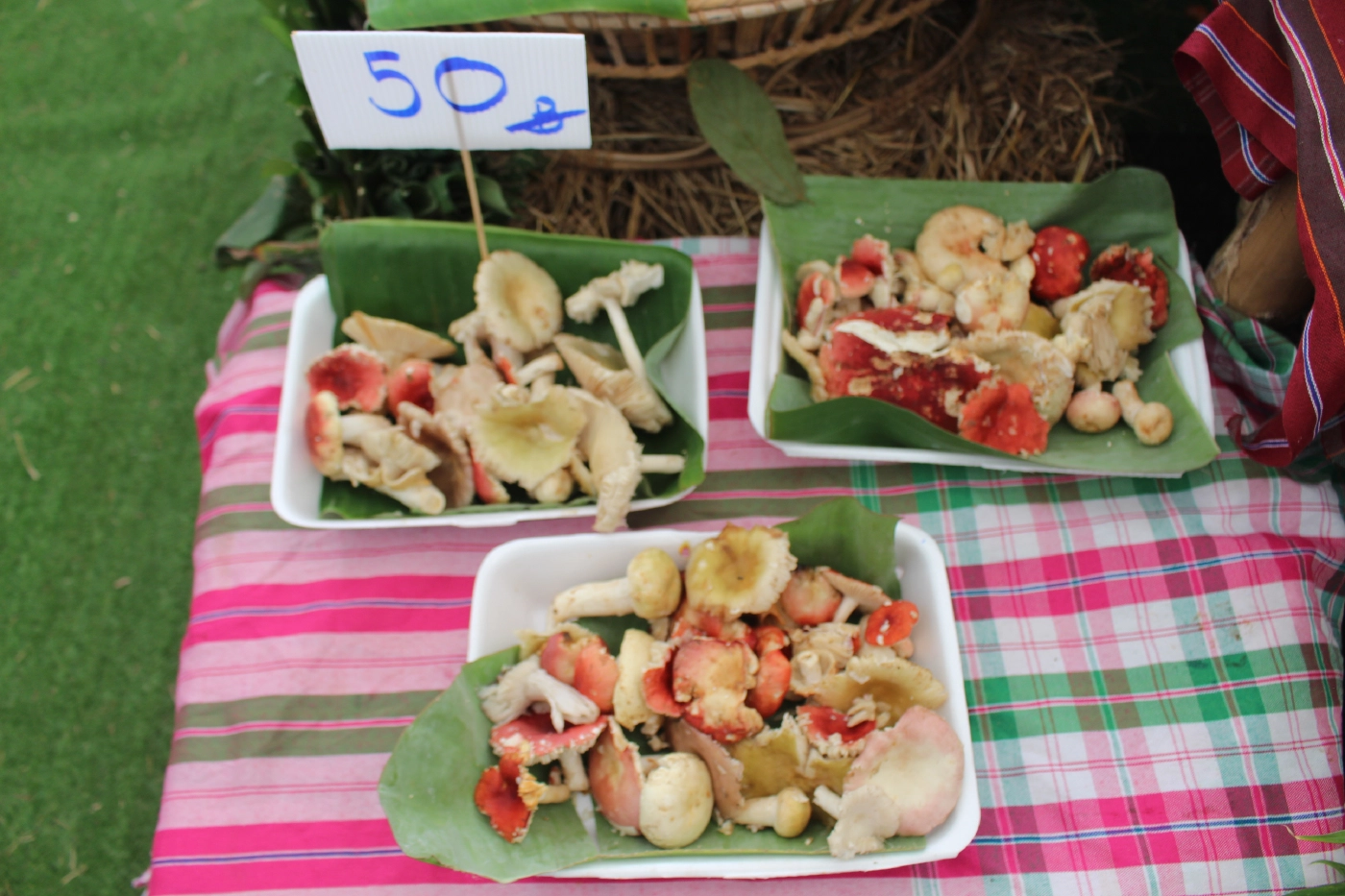 ผู้ว่าฯชวนเที่ยวงาน ครัวสุขภาพจังหวัดสุรินทร์ พาณิชย์ก้าวไกล สู้ภัยโควิด