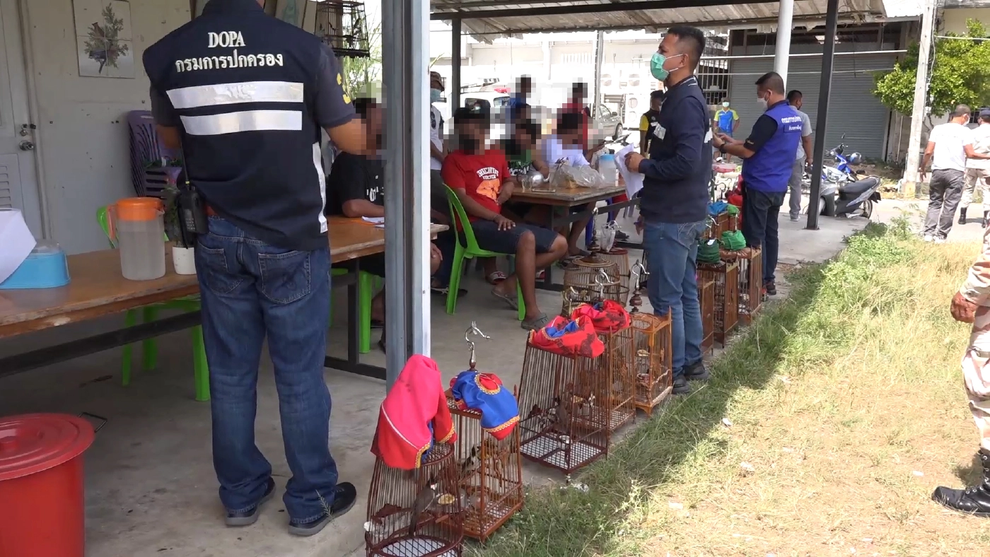 ตำรวจหาดใหญ่ - ฝ่ายปกครอง จับเซียนนกกรงคาสนามแข่ง