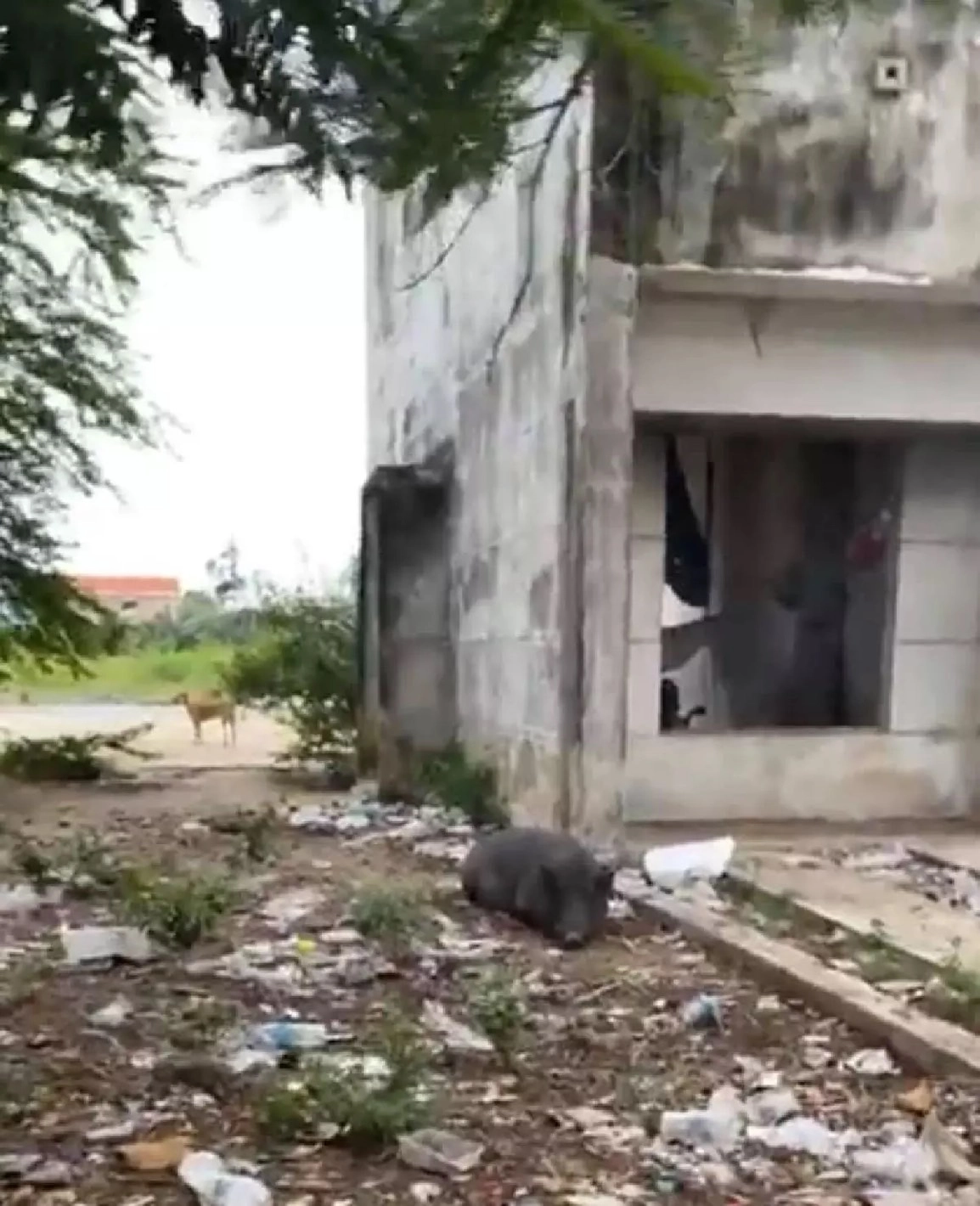 ผู้หญิงในบ้านร้าง กับ เหตุการณ์วิปริตในสังคม