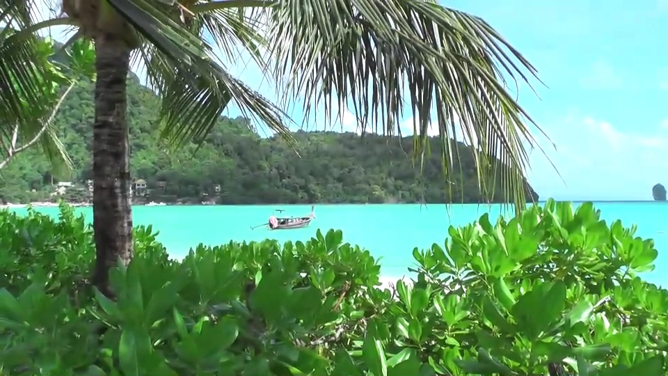 ขยายเวลาปิดเกาะพีพีไปจนถึง วันที่ 24 ก.ย.นี้