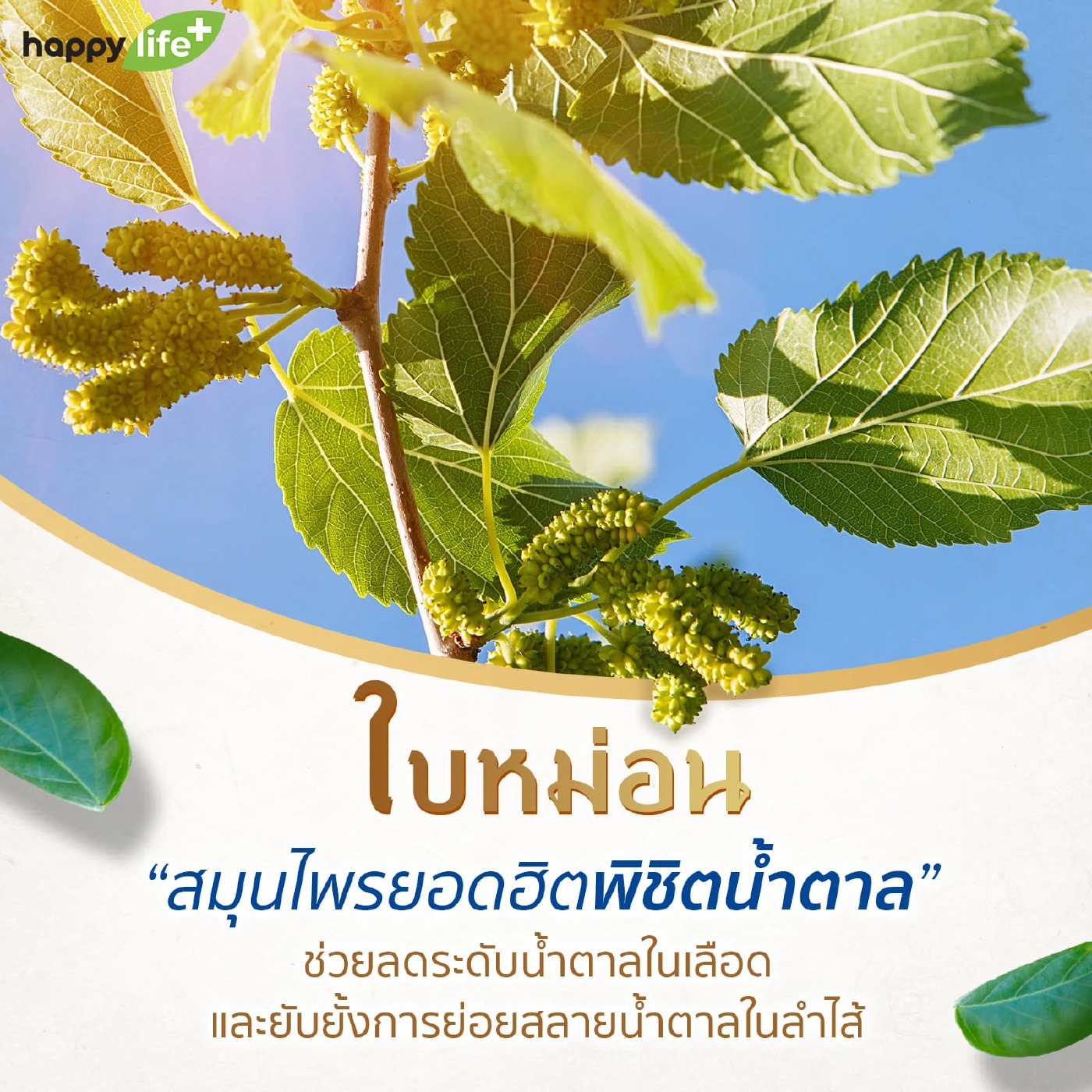 7 สมุนไพรไทย ที่ช่วยลดน้ำตาลในเลือด