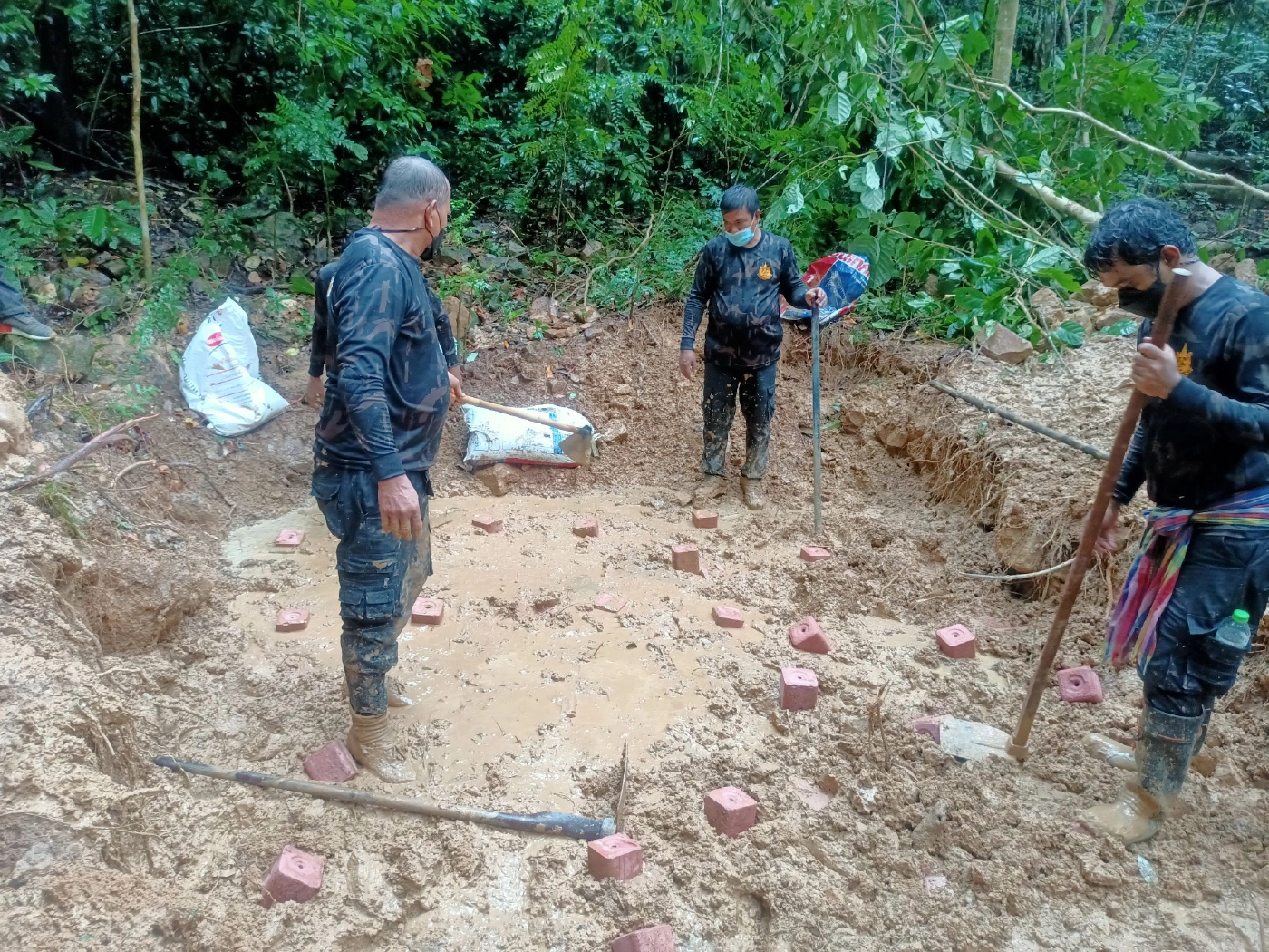 เร่งสร้างโป่งเทียมสุราษฎร์ฯ แก้ปัญหาช้างป่า