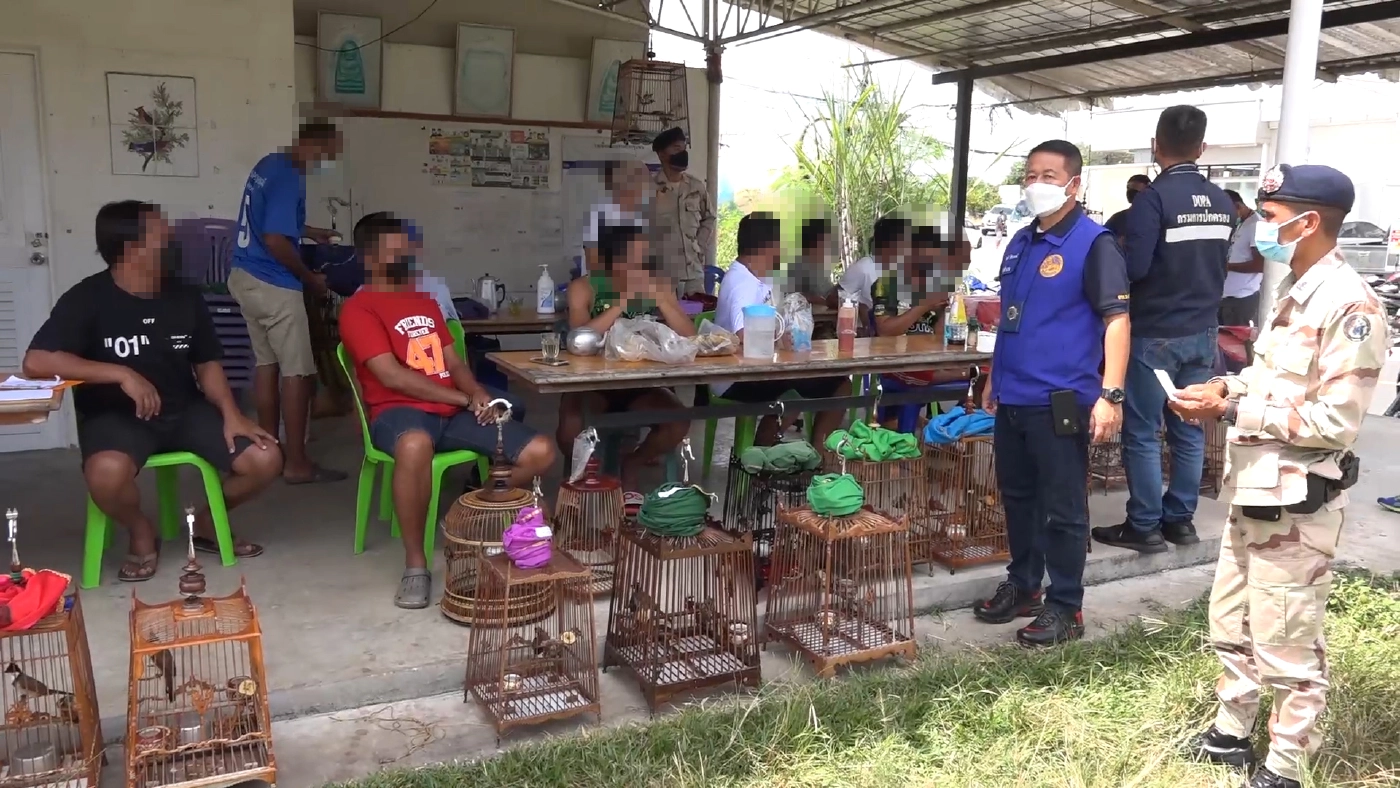 ตำรวจหาดใหญ่ - ฝ่ายปกครอง จับเซียนนกกรงคาสนามแข่ง
