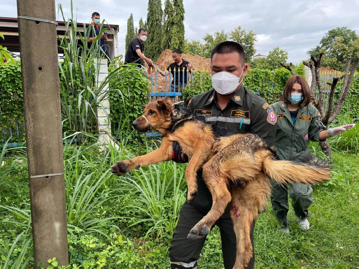 น้องหมาถูกเหล็กเสียบห้อยคารั้วกู้ภัยช่วยรอดชีวิต