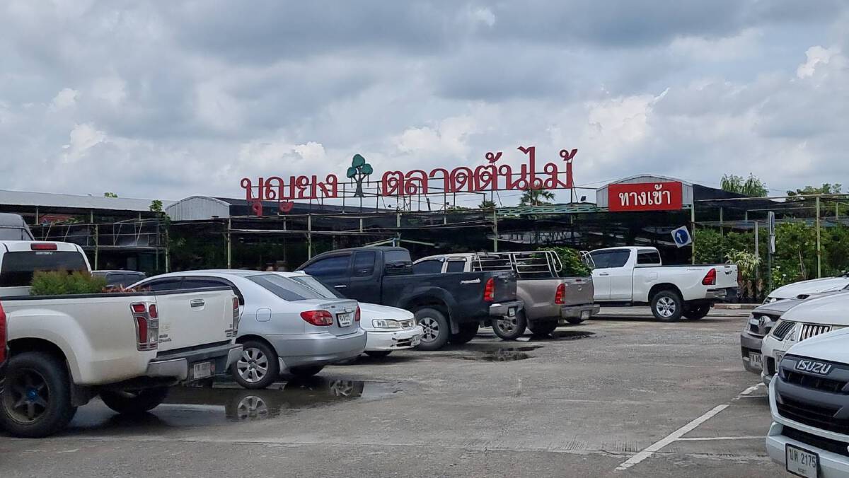 รวบพยาบาลวิชาชีพชาย ตระเวนลักไม้ด่าง 4  ร้านรวดมูลค่ากว่า 4 แสนบาท