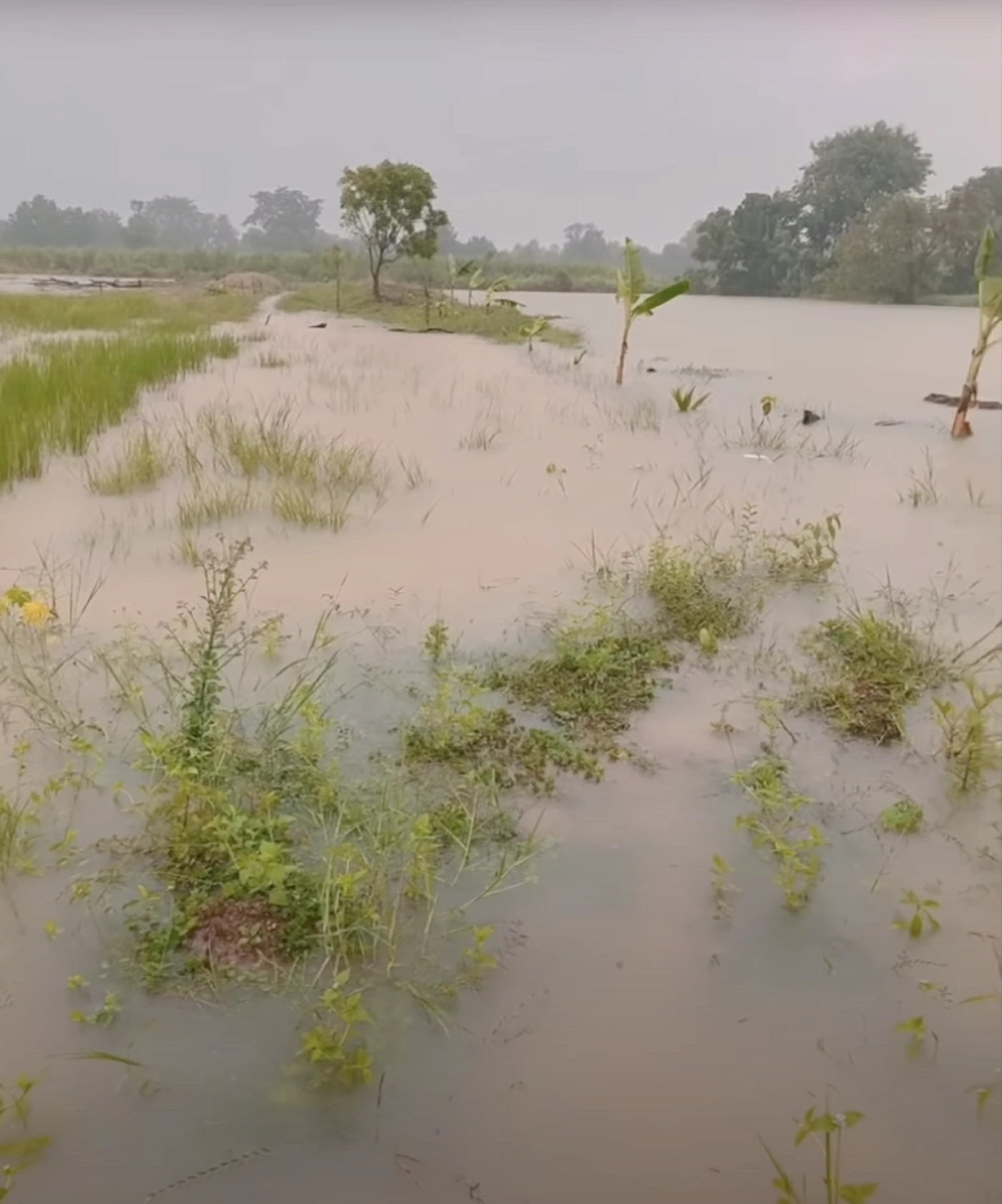 “ตั๊กแตน-สุนารี” โอดเจอผลกระทบพายุ น้ำท่วมบ้าน-ไร่นาเสียหายหนัก