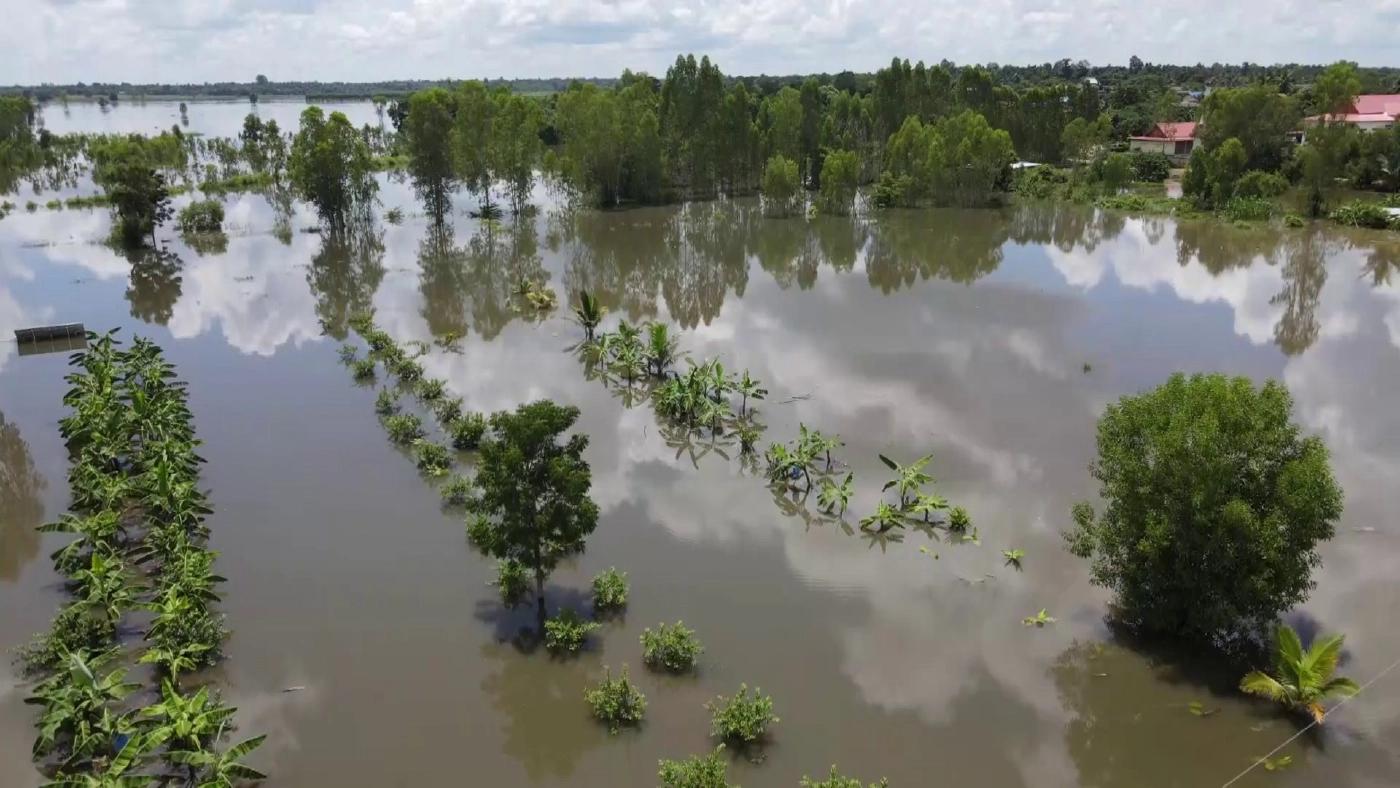 น้ำโคราชถึงบุรีรัมย์ท่วมนาข้าว-สวนผลไม้จมพันไร่