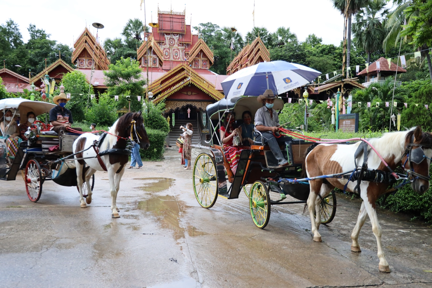 เร่งฟื้นรถม้าลำปาง-ขับเคลื่อนศก.ช่วงโควิด