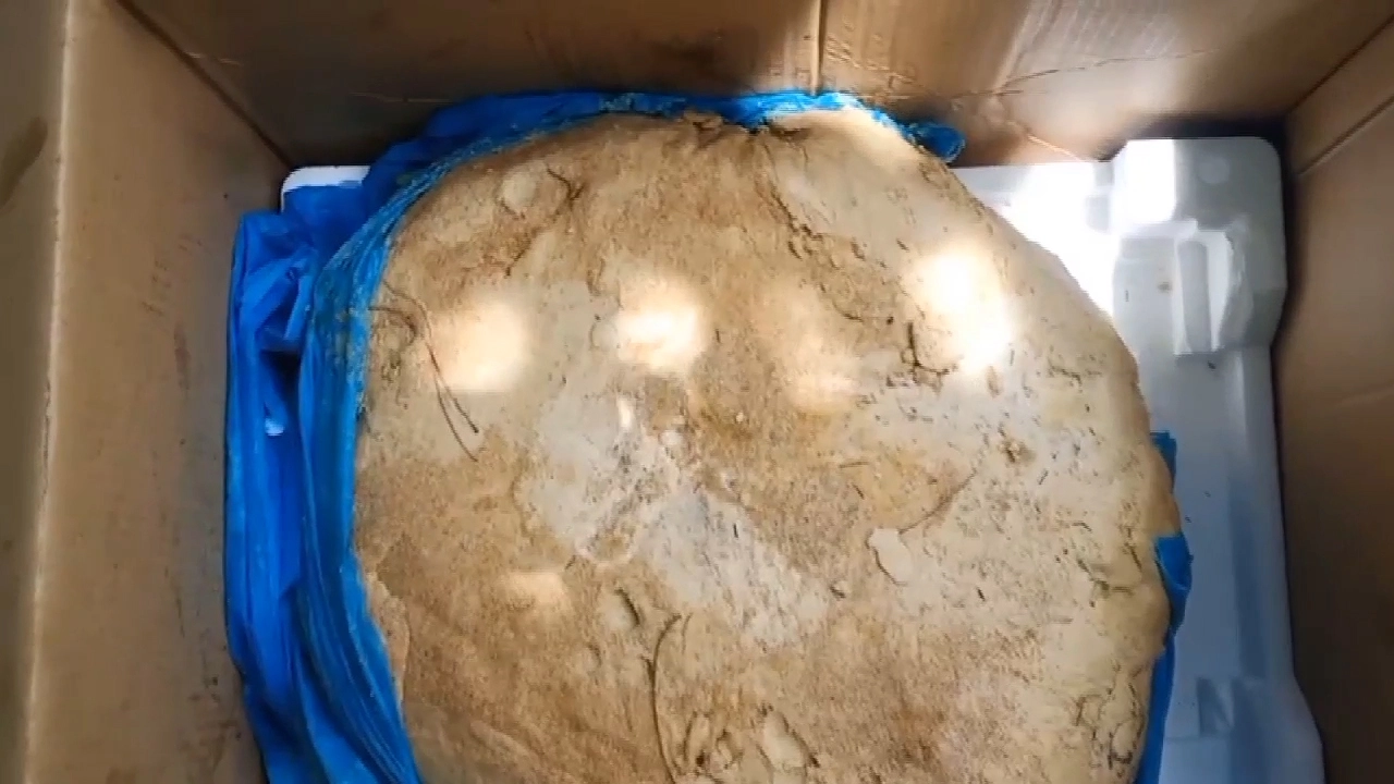 ชาวบ้านภูเก็ตพบก้อนคล้ายอำพันทะเล หนักเกือบ 20 กก.