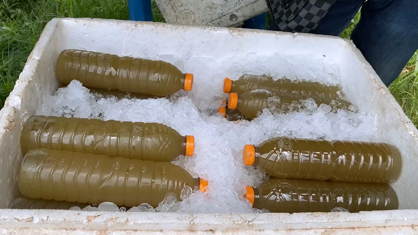 สองหนุ่มเปิดซุ้มขายน้ำกระท่อมออแกนิคริมถนน