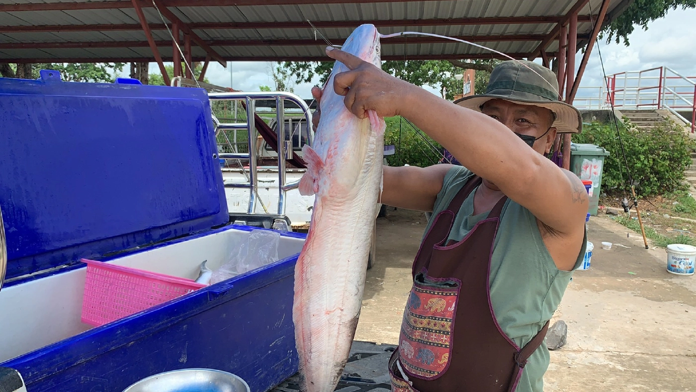 เปิดประตูระบายน้ำเขื่อนราษีไศล 5 บานรับปริมาณน้ำ