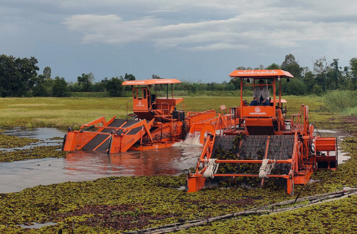 มท.2 สั่งเร่งกำจัดผักตบชวาป้องกันน้ำเน่าเสีย ใช้ผลิตน้ำประปาชุมชน