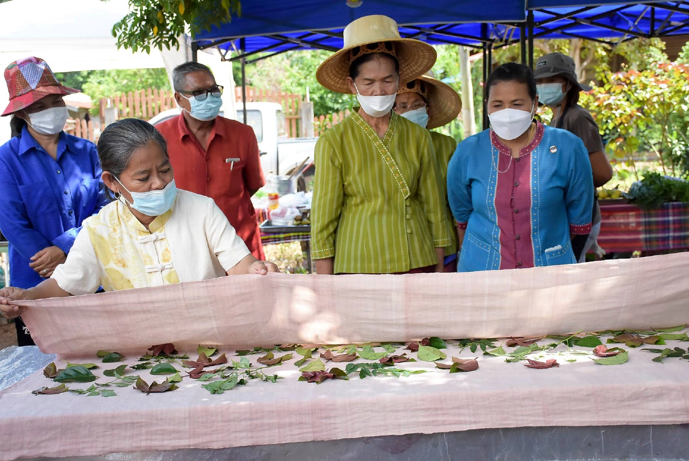 สวยเก๋นวัตกรรมผ้าโควา ย้อมสีธรรมชาติจากมูลวัวพิมพ์ลายด้วยสีใบไม้