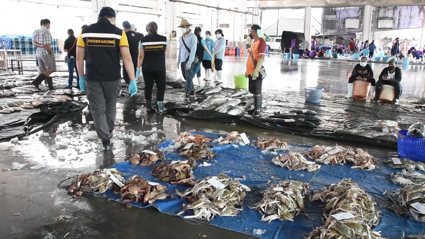 ระนองเข้มสะพานปลาแหล่งรวมแรงงานนับร้อยหวั่นโควิดกระจาย