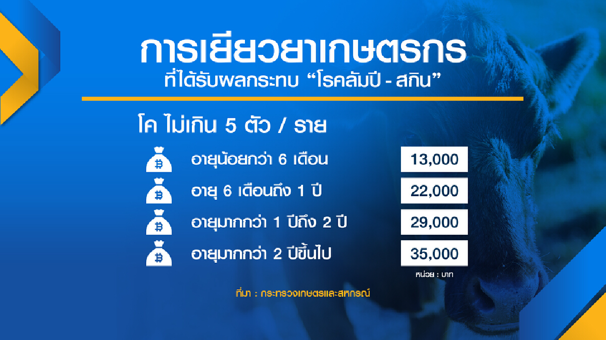 เกษตรฯจ่าย 1 พันล้าน เยียวยา ลัมปี-สกิน
