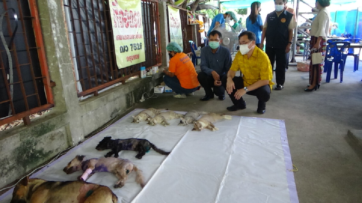 โครงการวันป้องกันโรคพิษสุนัขบ้าโลก สัตว์ปลอดโรคคนปลอดภัย