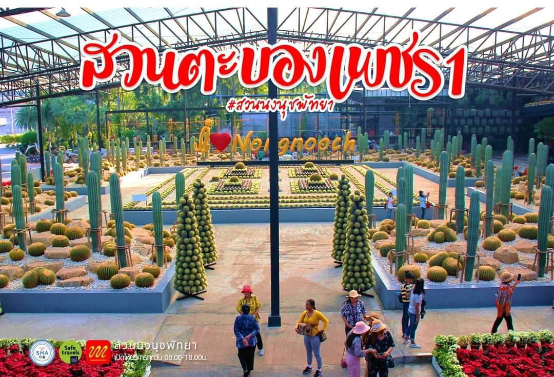 สวนนงนุชพัทยาเปิดให้บริการแล้ว พร้อมโปรโมชั่นพิเศษสำหรับผู้ฉีดวัคซีนครบ 2 เข็ม เข้าชมสวนฟรี