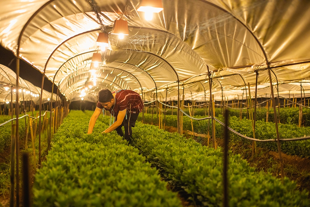 61 ปี การไฟฟ้าส่วนภูมิภาค มุ่งสู่ Digital Transformation